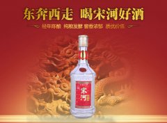 宋河粮液酒