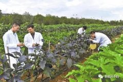 吉林省培育新型职业农民 服务农业社会化体系建