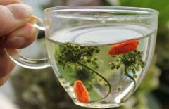 人参花泡水喝的禁忌