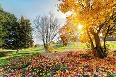 立秋时节养生宜收敛