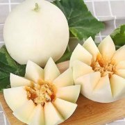 　阎良甜瓜
