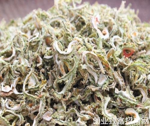 苦瓜枸杞泡水喝的功效