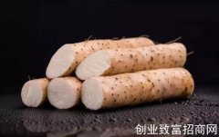 根茎类食材的养生妙用