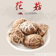 大别山花菇