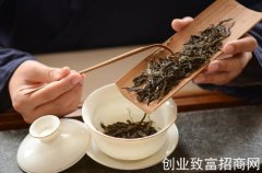 普秀普洱茶批发报价