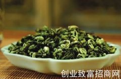 松萝茶的历史渊源