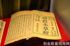 冠心病心悸用枸杞膏