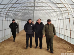 祝贺：上海四系生态农业与内蒙古创新蒙医药