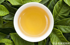 海垦茶业集团开展抗旱保茶活动