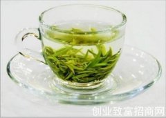 绿茶的饮用禁忌