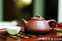 紫砂壶泡什么茶最好呢