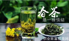 春季喝什么茶好