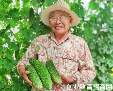 <b>朱思浩：农民科学家</b>