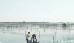 空手赚大钱：“蟹老板”的期货生意