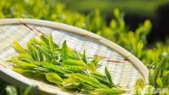 福建南平：堵疏结合加强茶叶市场监管