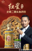 763天，一个低度酒品牌的生死转折