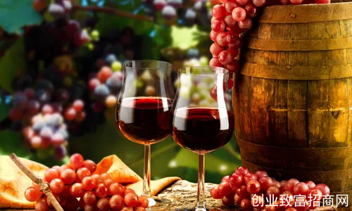 喝剩的葡萄酒怎么保存？