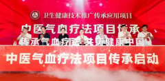 全国卫生健康技术传承项目：中医气