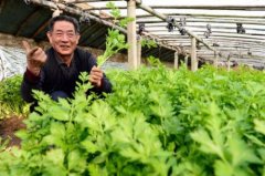 生态农业循环种养模式全套技术