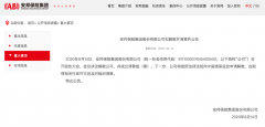 解散！清算！安邦保险落幕：
