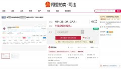 近1.2亿元股权拍卖背后：