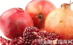 策勒石榴