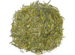 井岗贡茶