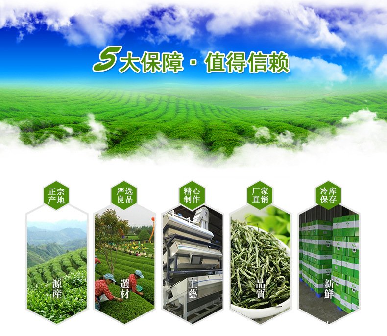 5大保障6