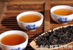 做到这四点，日常喝健康养生茶