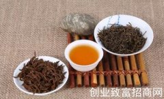 保护胃，如何科学饮茶？