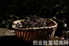 茶友须知：普洱茶仓储的八个问题