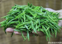 七种茶叶分类，普洱茶属于黑茶，乌龙茶又叫青