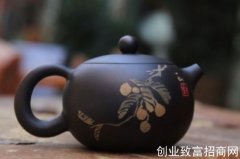 建水紫陶壶有哪些缺点，云南紫陶壶泡茶的好与