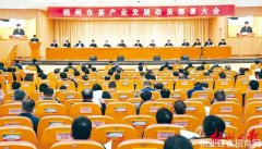 小茶叶 大产业，梧州市全力推进六堡茶产业高质