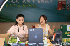 岳西姚河乡：“一改两为”助力茶产业发展