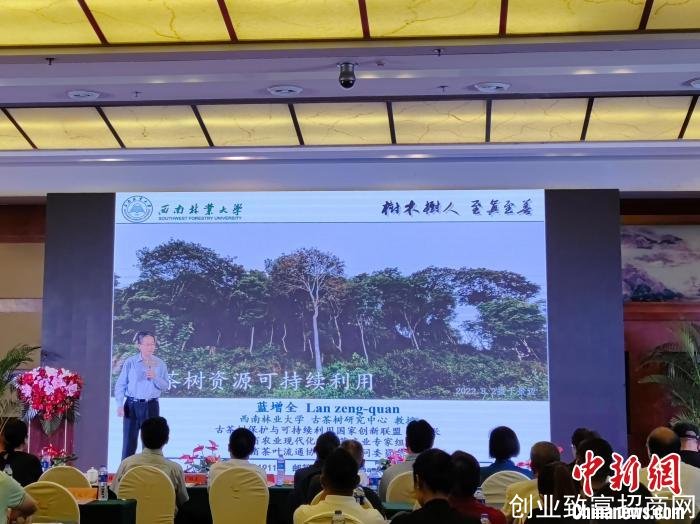 专家建议：云南应用好茶资源优势构建古茶树技术体系
