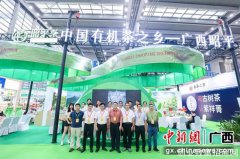 2022中国（深圳）国际春季茶博会开幕