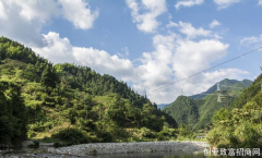 来黄山旅游，看街上特产：这种特产我们那更多