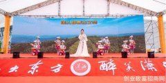 2022第二届潇湘茶文化节在长沙开幕