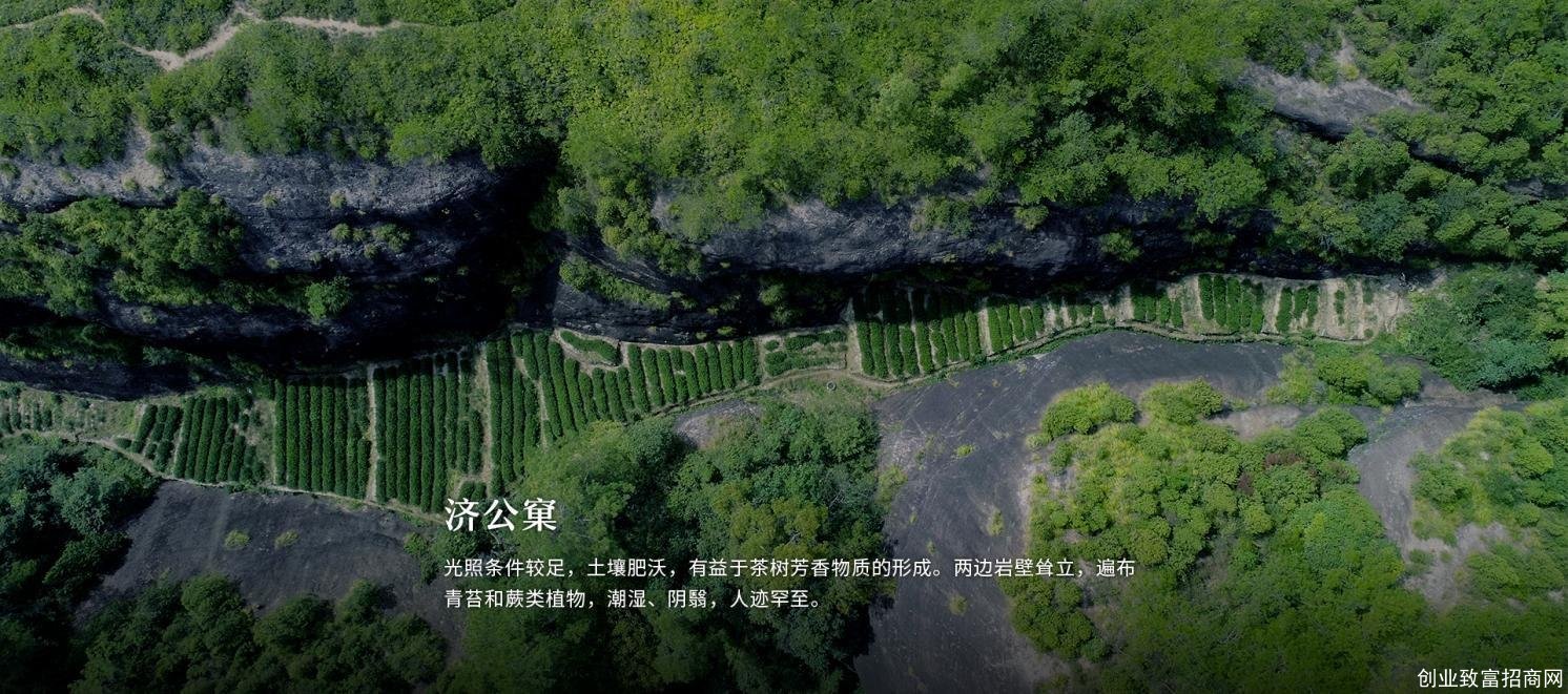 　　武夷山核心景区天心村——武夷九龙窠茶业基地