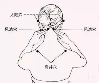 风池穴