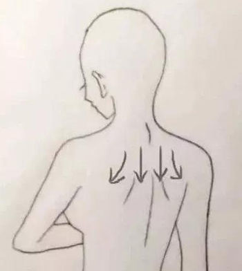怎样调理乳腺病？