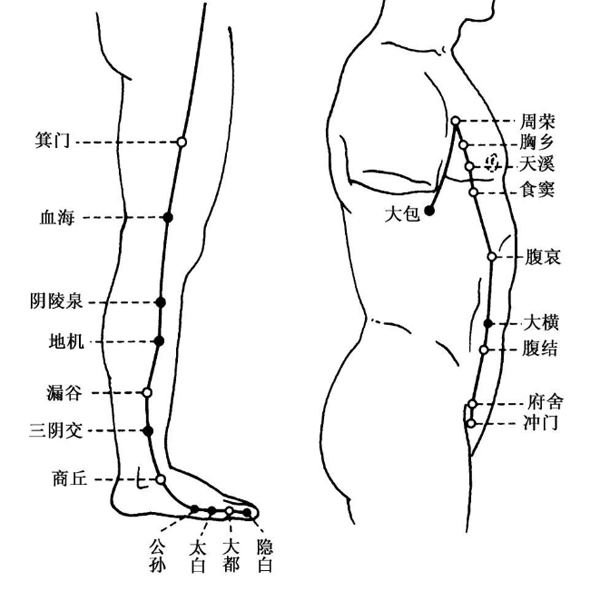 足太阴脾经