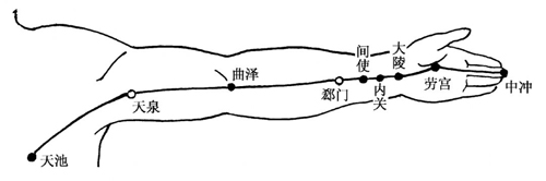 手厥阴心包经